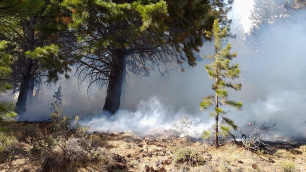 El incendio se produjo en sector de la subida a los miradores.