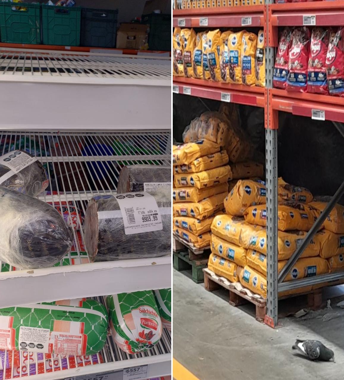 Alimentos vencidos y palomas dentro del local. (Fotos: Municipalidad de Trelew)