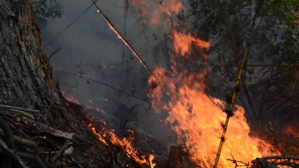 Se sigue combatiendo el fuego en el PNLA.