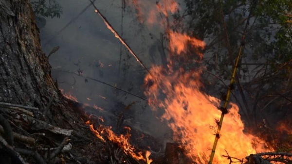 Se sigue combatiendo el fuego en el PNLA.