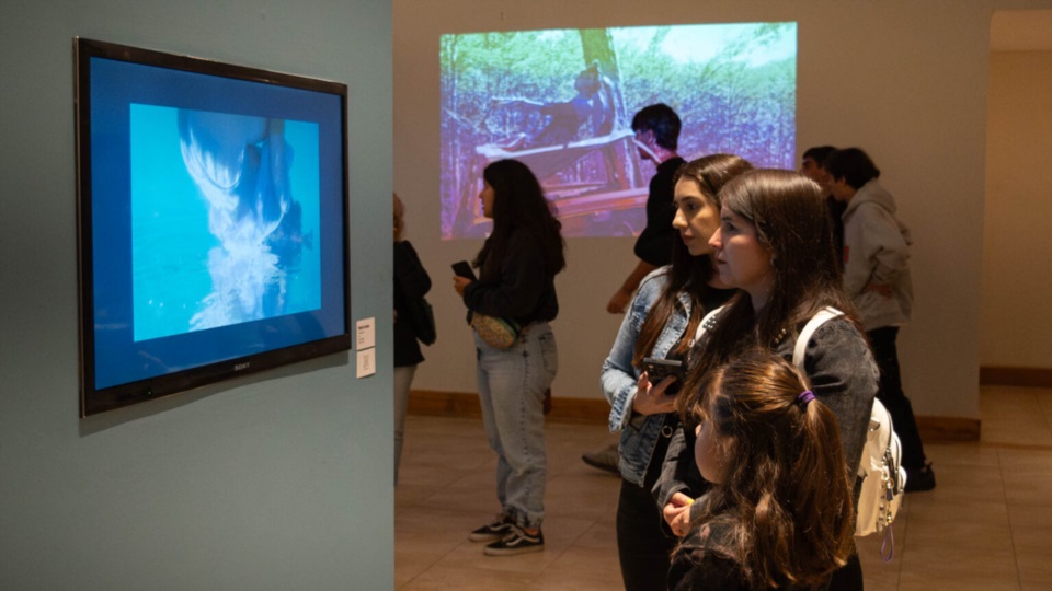 El Centro Cultural de Rada Tillly ofrece la Exposición Bien del Sur Vol. 8.