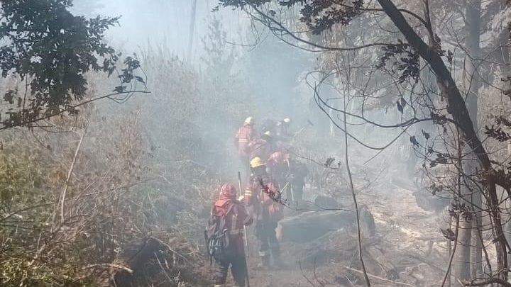 Brigadistas trabajando en el lugar.