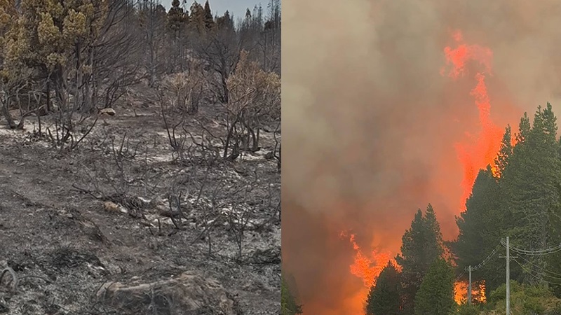 Por fin, Nación acordó declarar la Emergencia Ígnea