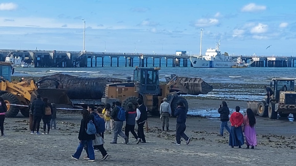 Numerosos curiosos en el litoral marítimo.