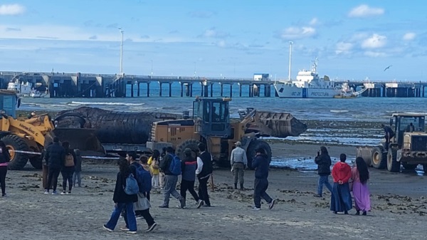 Numerosos curiosos en el litoral marítimo.
