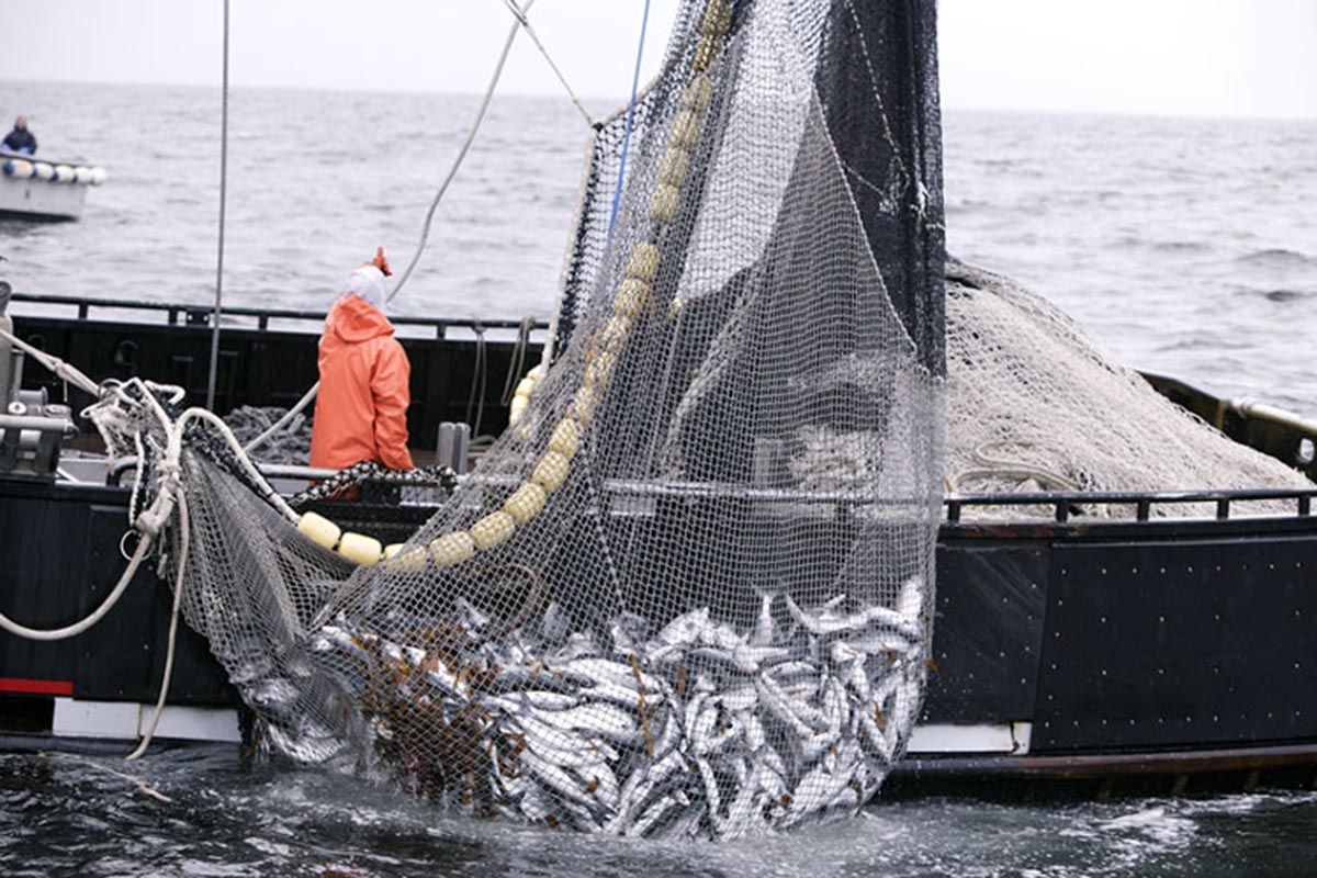 Un estudio vincula la precariedad laboral en la pesca con los suicidios