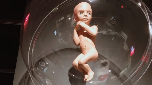 El bebé que regresa a la Tierra, en la escena final de 2001, Odisea del espacio.