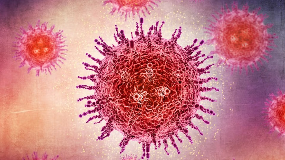 Un hombre murió en Francia y sería por el virus Shamonda. Foto: Agencia NA (Magnific/Ilustrativa).