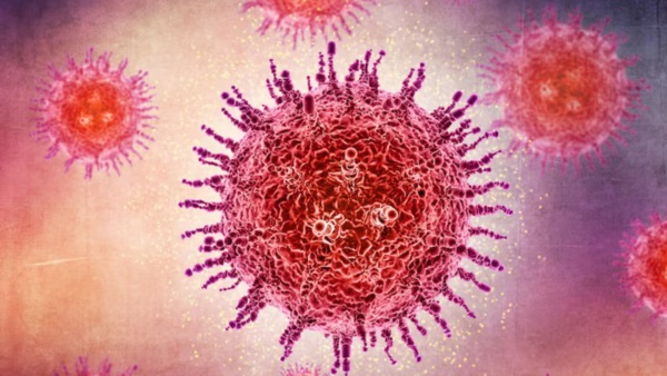 Un hombre murió en Francia y sería por el virus Shamonda. Foto: Agencia NA (Magnific/Ilustrativa).