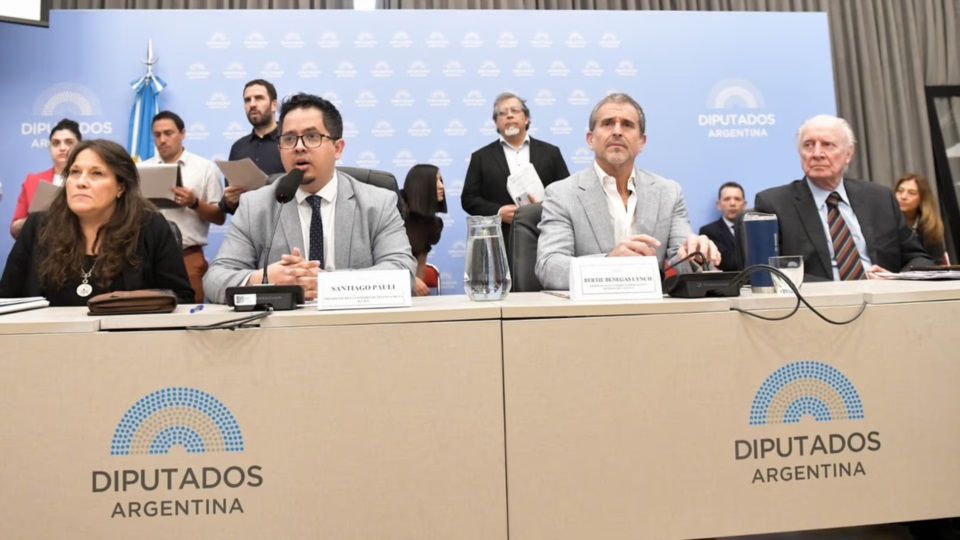 Los diputados Santiago Pauli y Benegas Lynch.