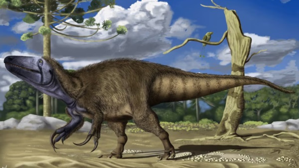 Rinconraptor pipoae, el dinosaurio hallado en el norte de Neuquén. Foto: Agencia NA (IPGP-CENPAT).