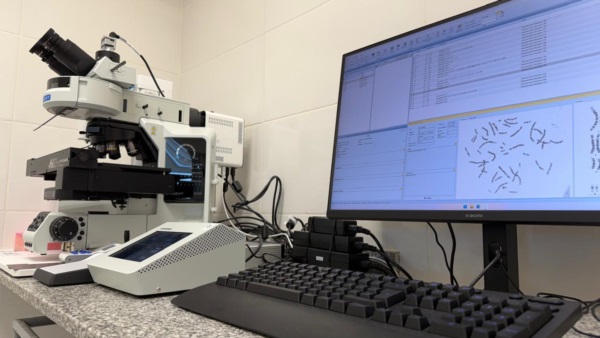 Esta tecnología permite fortalecer el diagnóstico citogenético.