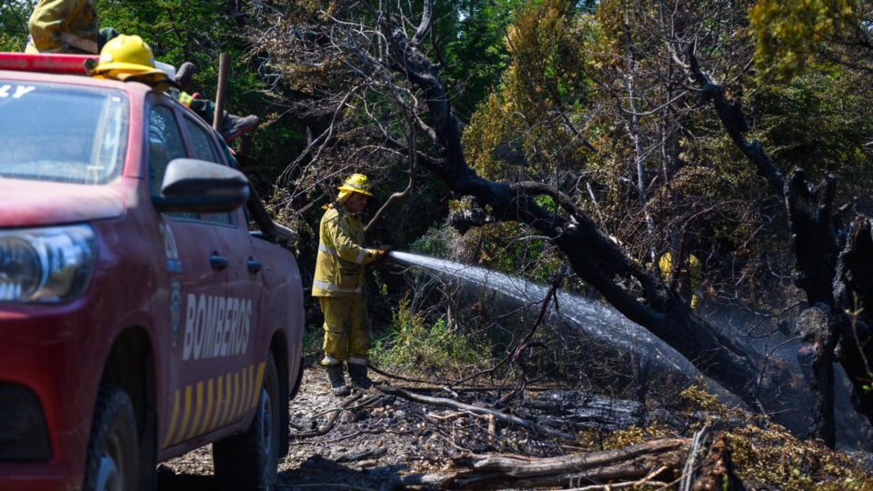 Bomberos operando en el lugar.