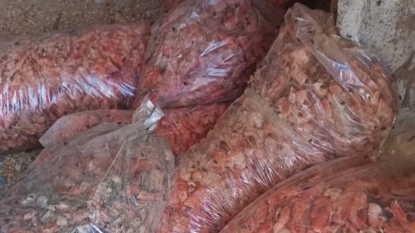 Desechos de langostinos diseminados por el lugar.