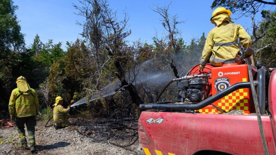Brigadistas trabajando en el sitio de los incendios.