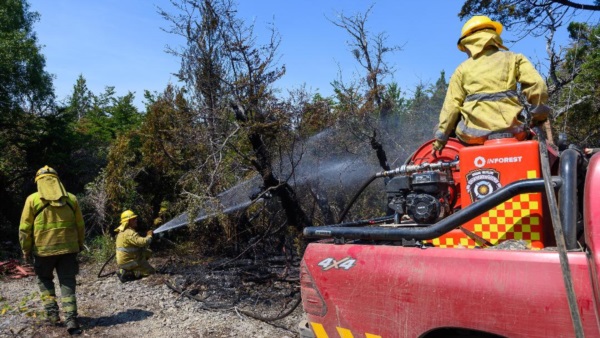 Brigadistas trabajando en el sitio de los incendios.