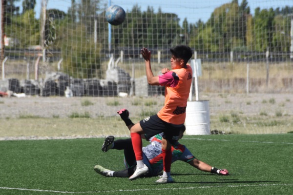 Foto: Sergio Esparza.