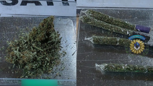 Elementos para la venta tipo "Delivery" fueron hallados.
