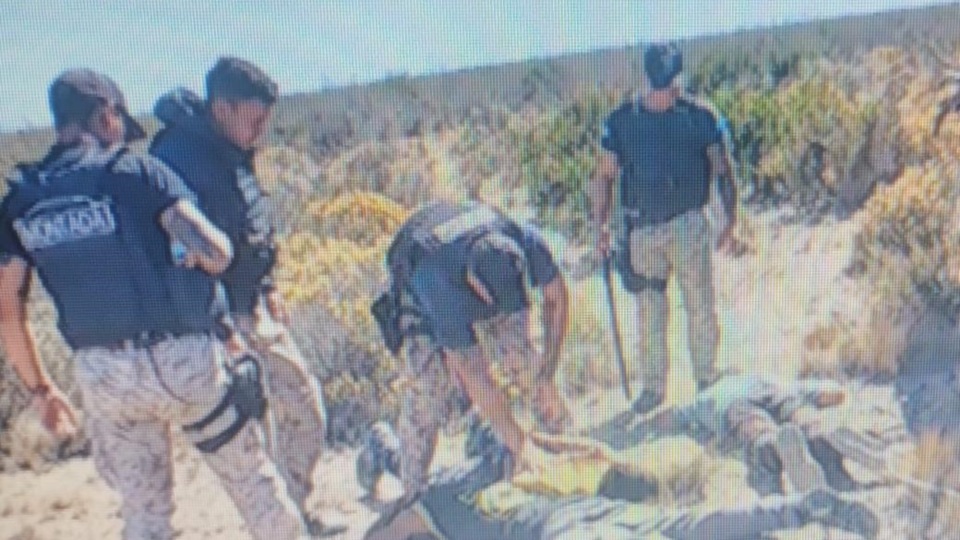Personal de Seguridad Rural intervinieron en el hecho.