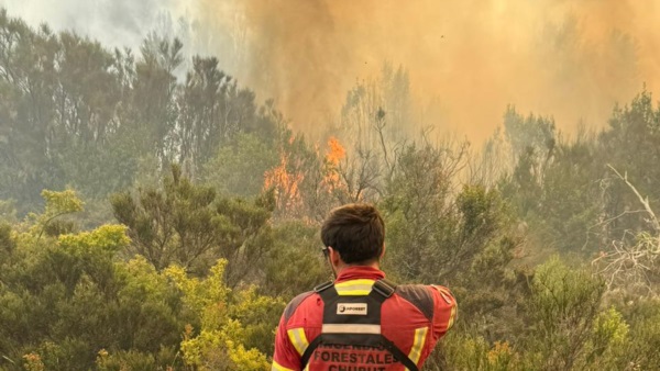 Cerca de 500 personas operan en el dispositivo.