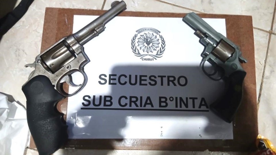Dos revólveres calibres 38 y 22 fueron secuestrados.