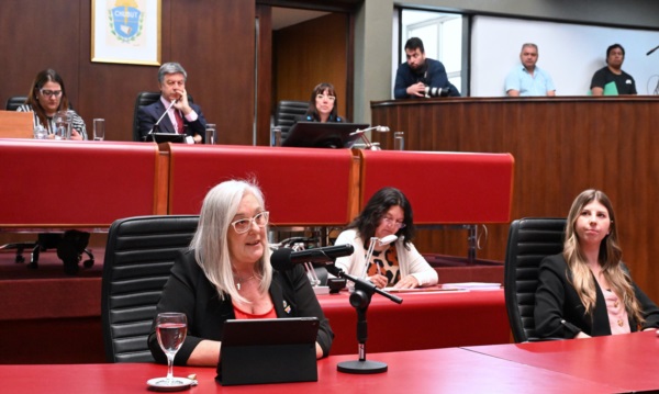 Terenzi y Cristina en la Legislatura, en noviembre pasado.