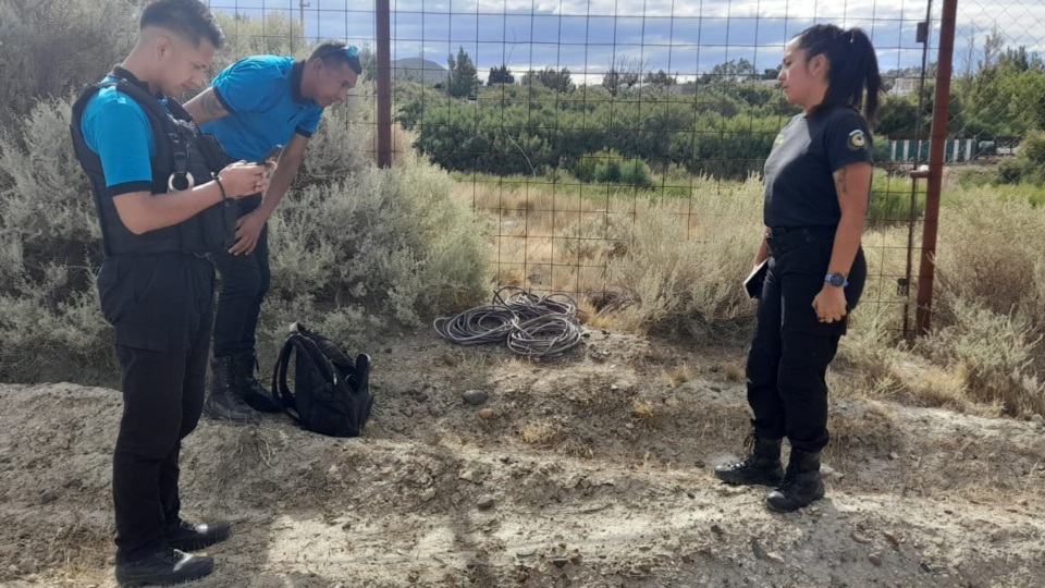 Elementos descubiertos en el procedimiento.