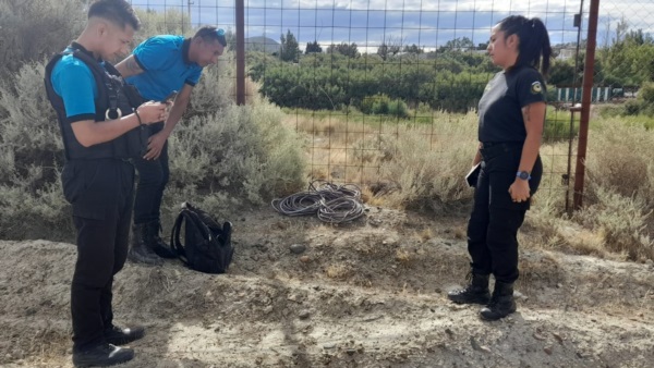 Elementos descubiertos en el procedimiento.