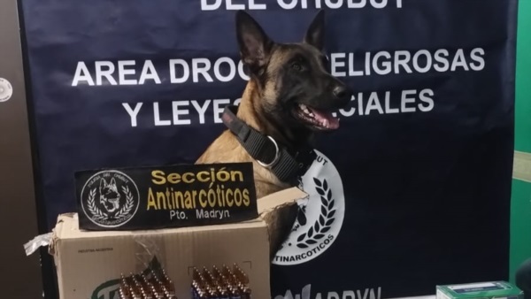 El can detector de narcóticos “Tussi".