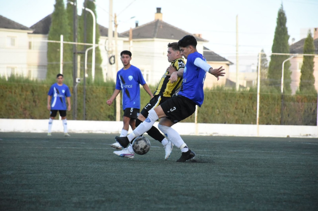 Fotos: Prensa - CEC.