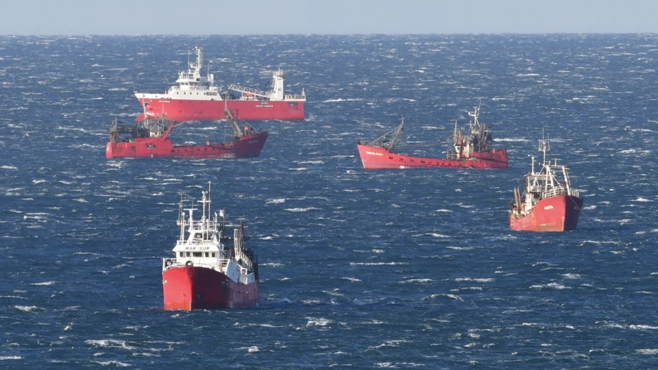 El inicio de la actividad de la pesca en langostino cerca del acuerdo.