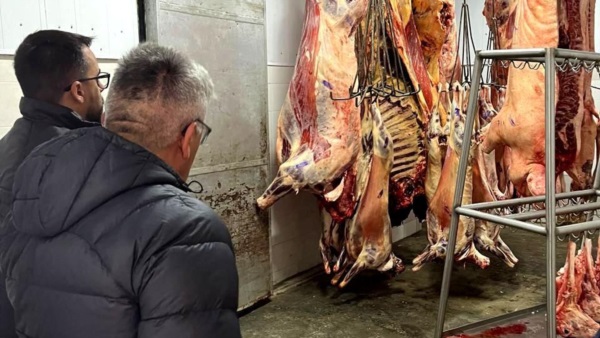 El abastecimiento de carne y sus altos costos para Esquel.
