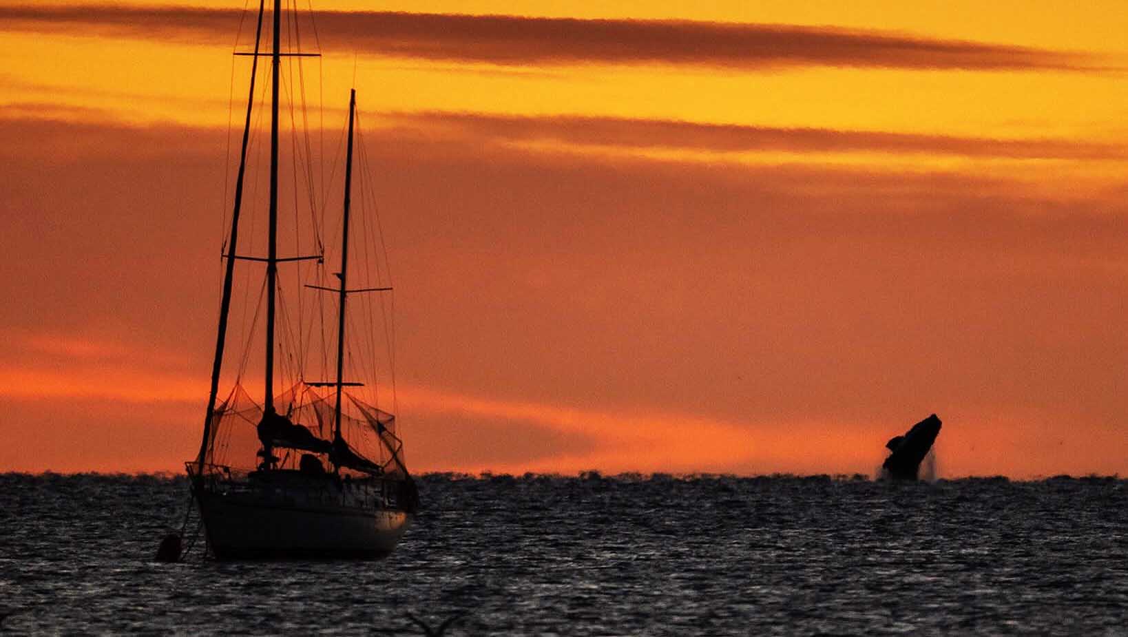(Foto: Simón Lazarte Gisbert)