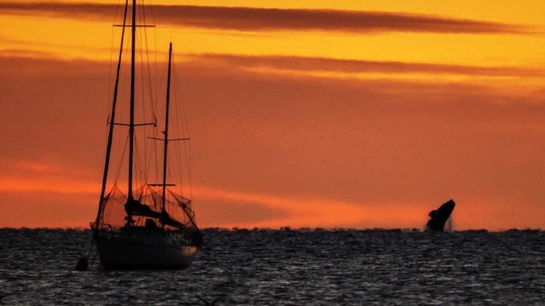 (Foto: Simón Lazarte Gisbert)