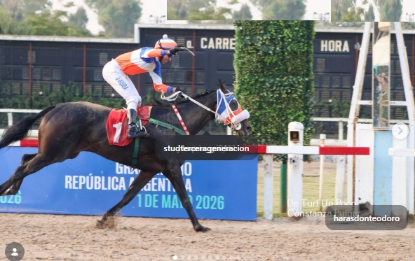 La yegua Will sound, con la conducción de Joaquín Guida fue la ganadora de la prueba y de la Copa Chubut.