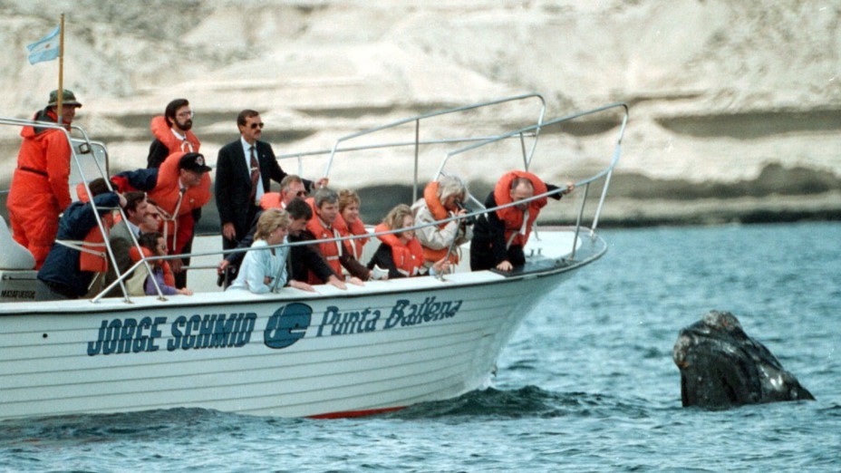 Avistaje histórico: La princesa Diana disfrutó del avistaje de ballenas, en 1995. Un momento que dio la vuelta al mundo. (Foto: Daniel Feldman)