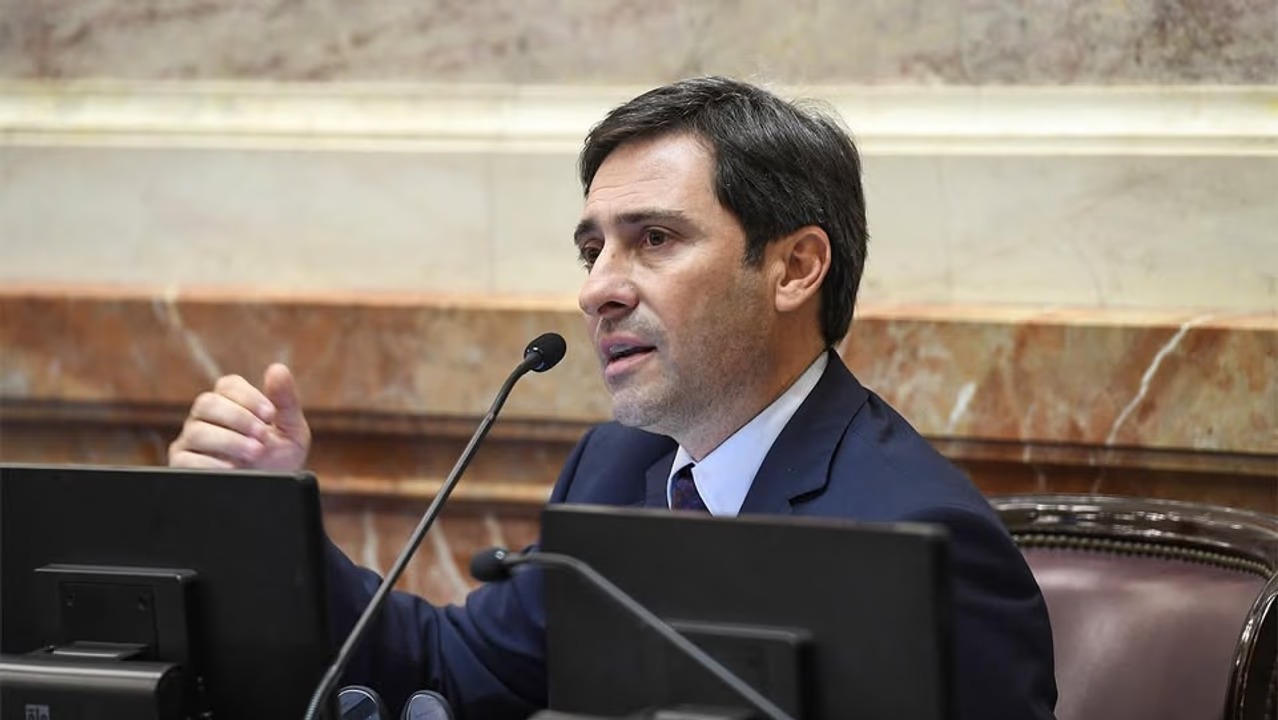 Martín Goerling, jefe del bloque PRO en el Senado de la Nación. Foto: Agencia NA.