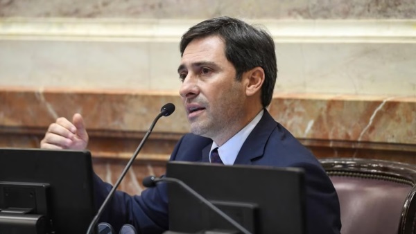 Martín Goerling, jefe del bloque PRO en el Senado de la Nación. Foto: Agencia NA.