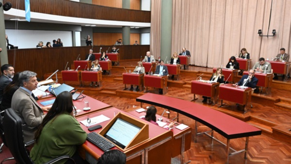 Gustavo Menna presidiendo la sesión.