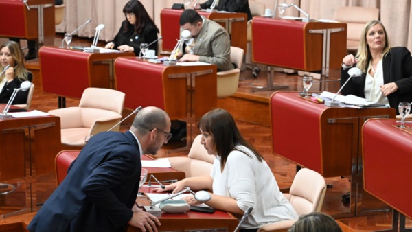 El incentivo tributario a las empresas fue motivo de debate.