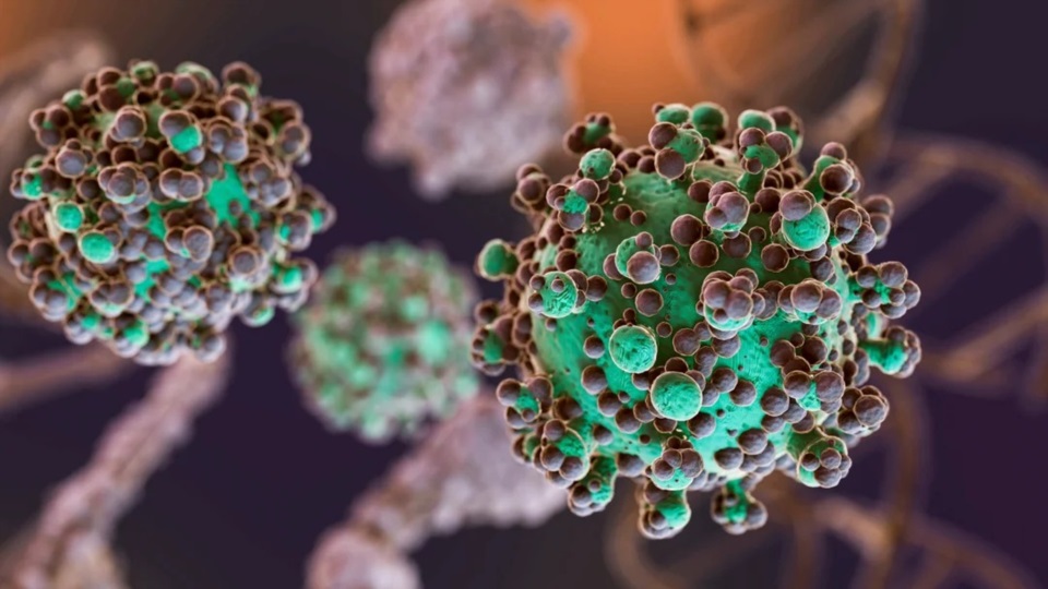 El hantavirus puso en alerta a varias jurisdicciones. Foto: Agencia NA (Magnific-Ilustrativa).