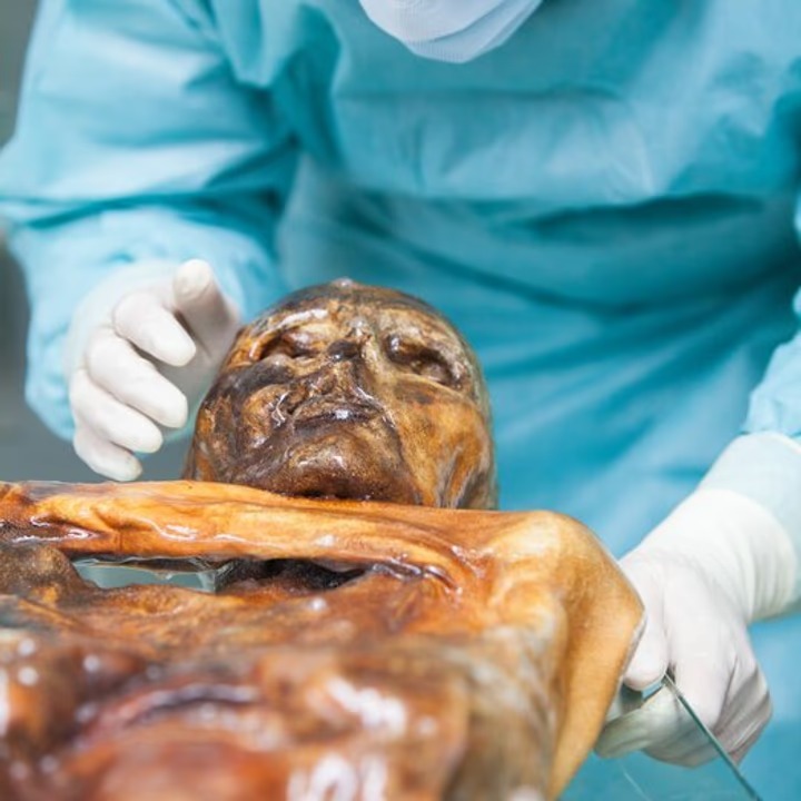 Foto: Agencia NA (Museo Arqueológico del Tirol del Sur/Eurac Research).
