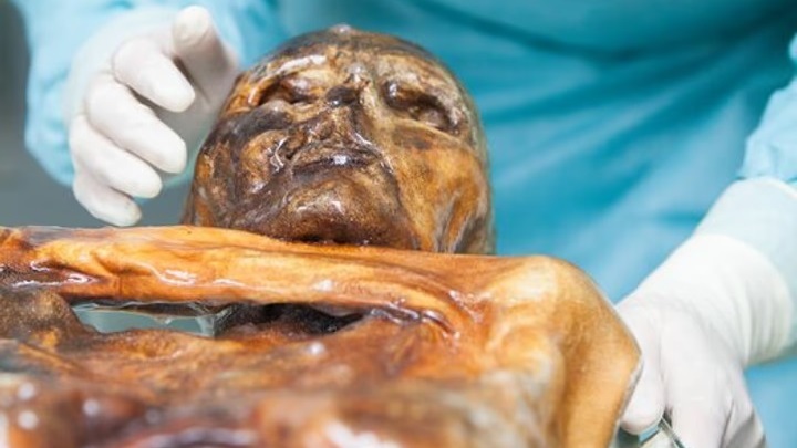 Foto: Agencia NA (Museo Arqueológico del Tirol del Sur/Eurac Research).