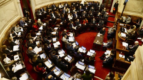 Senado debate propiedad privada Damian Dopacio (NA)