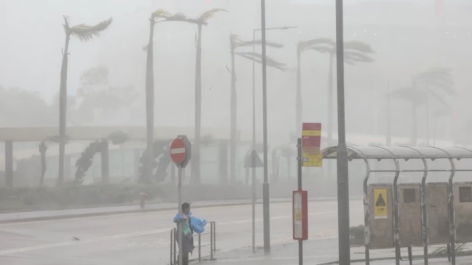 La provincia china de Zhejiang decretó la máxima alerta de emergencia y ya evacuó a más de 1,7 millones de ciudadanos en la costa oriental.