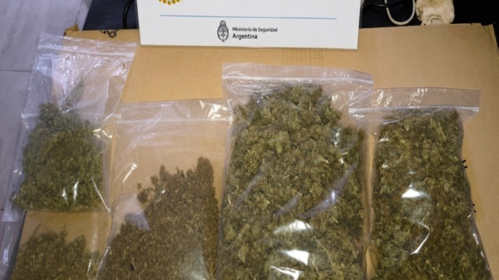 Más de medio kilo de marihuana incautada.