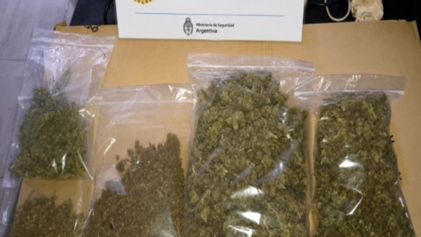 Más de medio kilo de marihuana incautada.