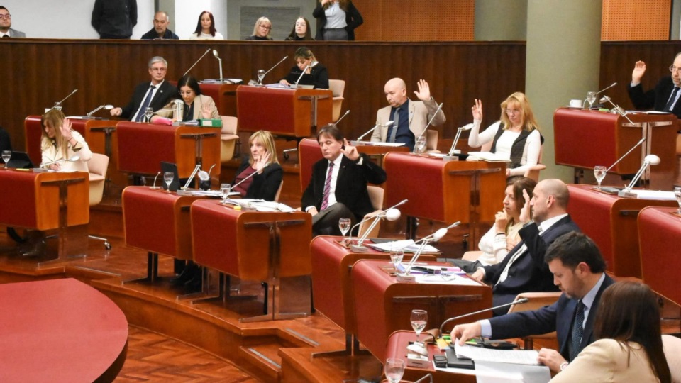 Los diputados aprobando un régimen de alivio financiero.