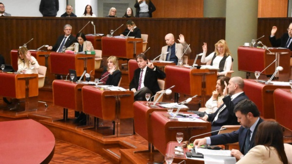 Los diputados aprobando un régimen de alivio financiero.