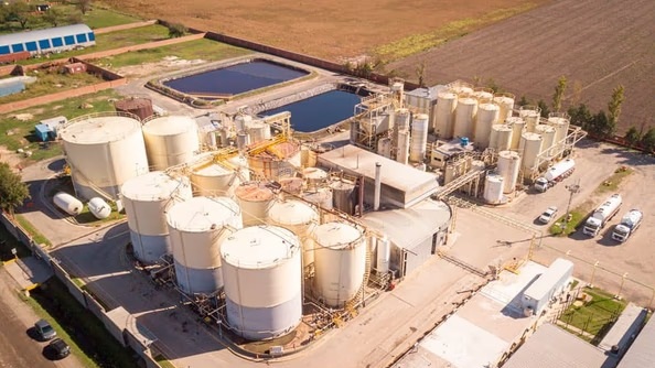 La FISFE considera que estas expresiones afectan el clima de previsibilidad que requiere la inversión y la producción.